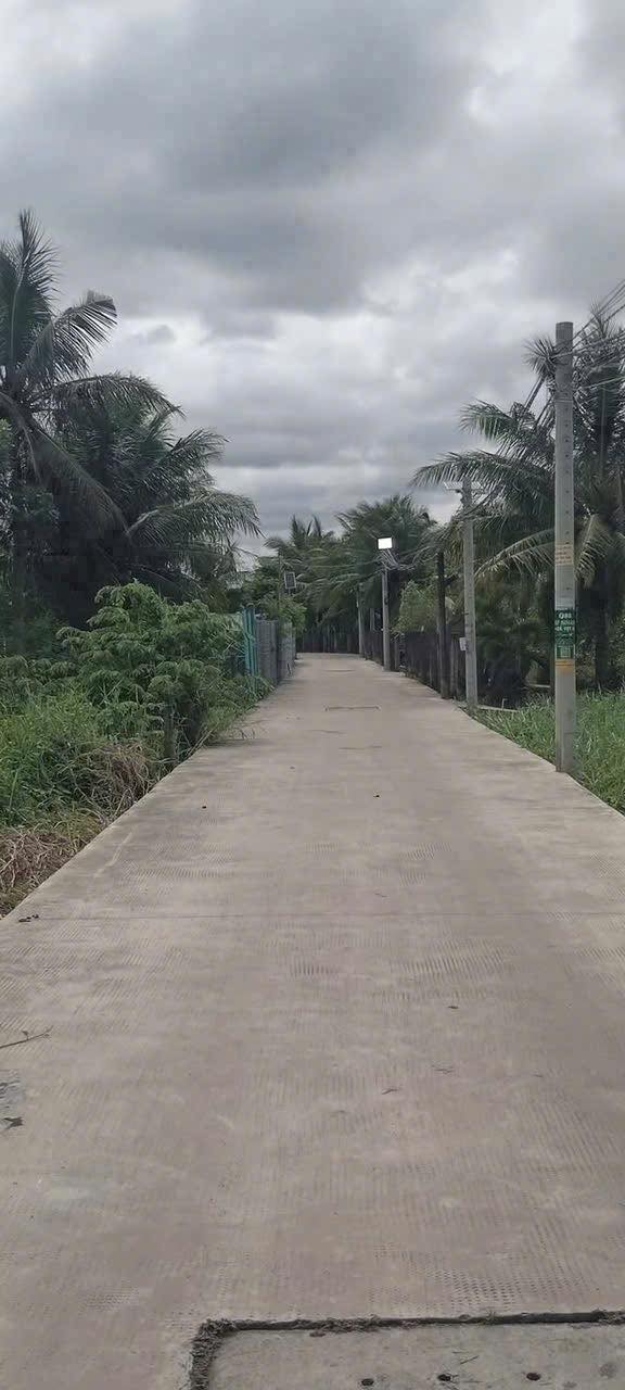 Đất thổ cư Long Hòa, Cần Đước 127m² giá 1.3 tỷ - Bán gấp, thương lượng!