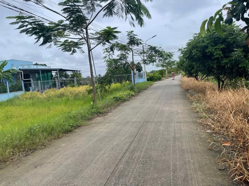 Đất thổ cư 409m² mặt tiền đường Tân Ân, Cần Đước giá 1.5 tỷ - Cơ hội đầu tư tuyệt vời!