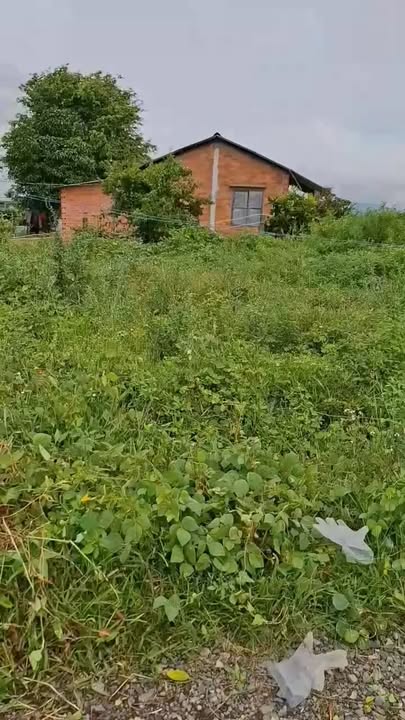 Đất vườn xã Hàm Cường 266m² giá 430 triệu - Đường vào ô tô thoải mái!