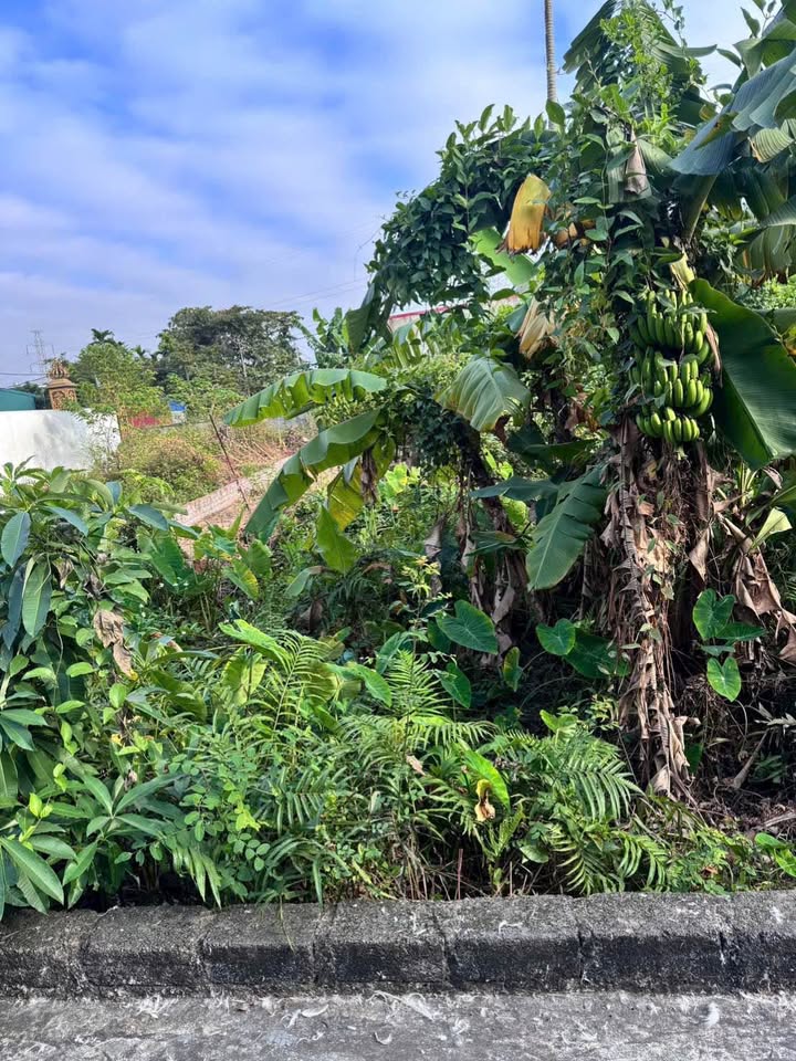 Đất Xích Thổ, Hồng Thái 107m² chỉ 1 tỷ - Đường ô tô vào tận nơi!