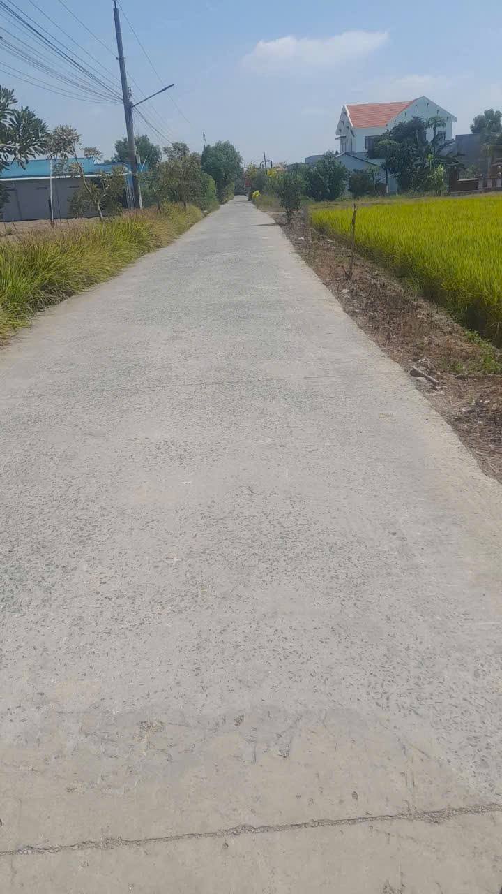 Đất Lúa Phước Lợi Bến Lức 976m² giá 1.6 tỷ - Cơ hội đầu tư hấp dẫn!