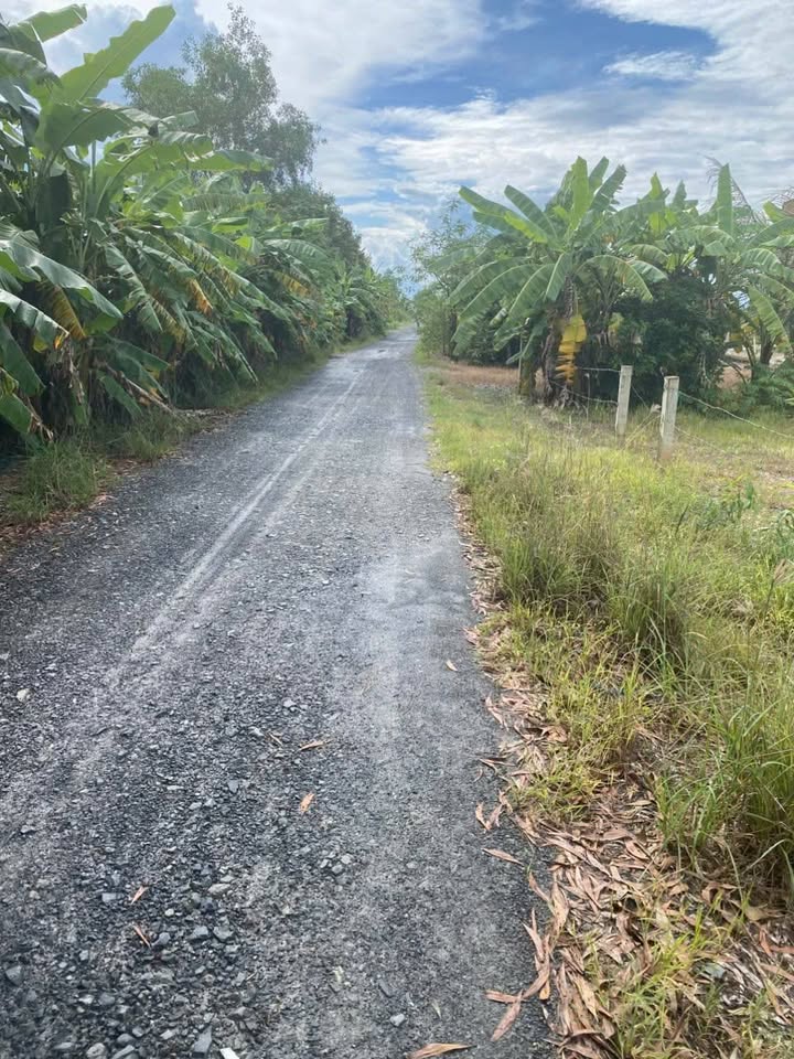 Đất nền thổ cư xã Mỹ Thạnh Đông, Đức Huệ 459m² giá 1.27 tỷ - Đầu tư sinh lời ngay!