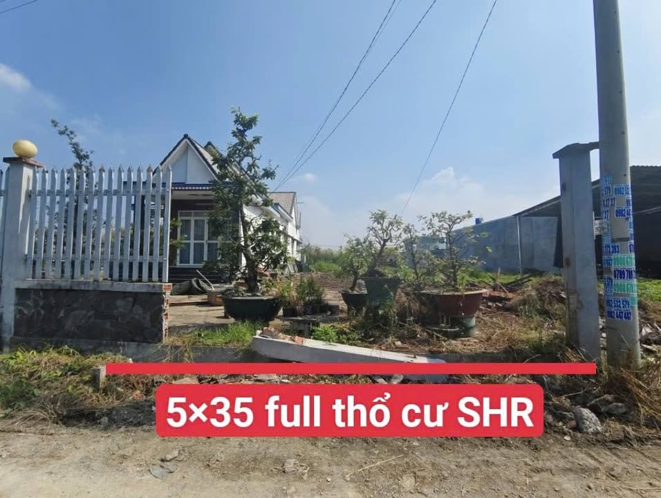 Đất thổ cư 175m² tại Mỹ Hạnh Nam, Đức Hòa - Giá 1.69 tỷ, cơ hội đầu tư lý tưởng!