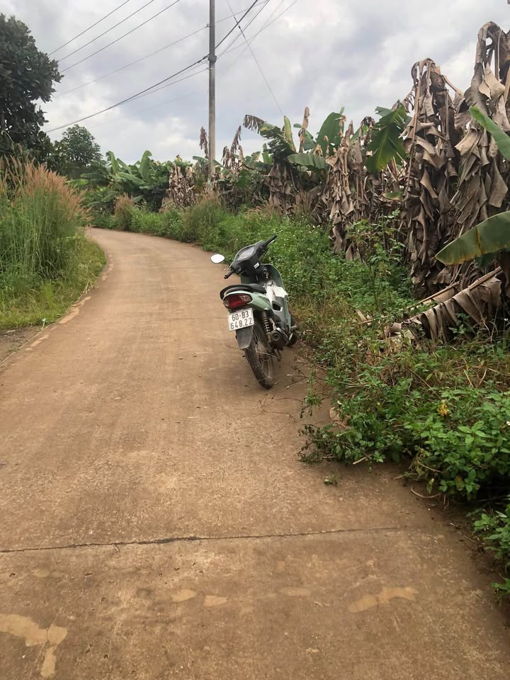 Đất nền tại Ngọc Định, Định Quán 1700m² giá 750 triệu - Đầu tư sinh lợi ngay!