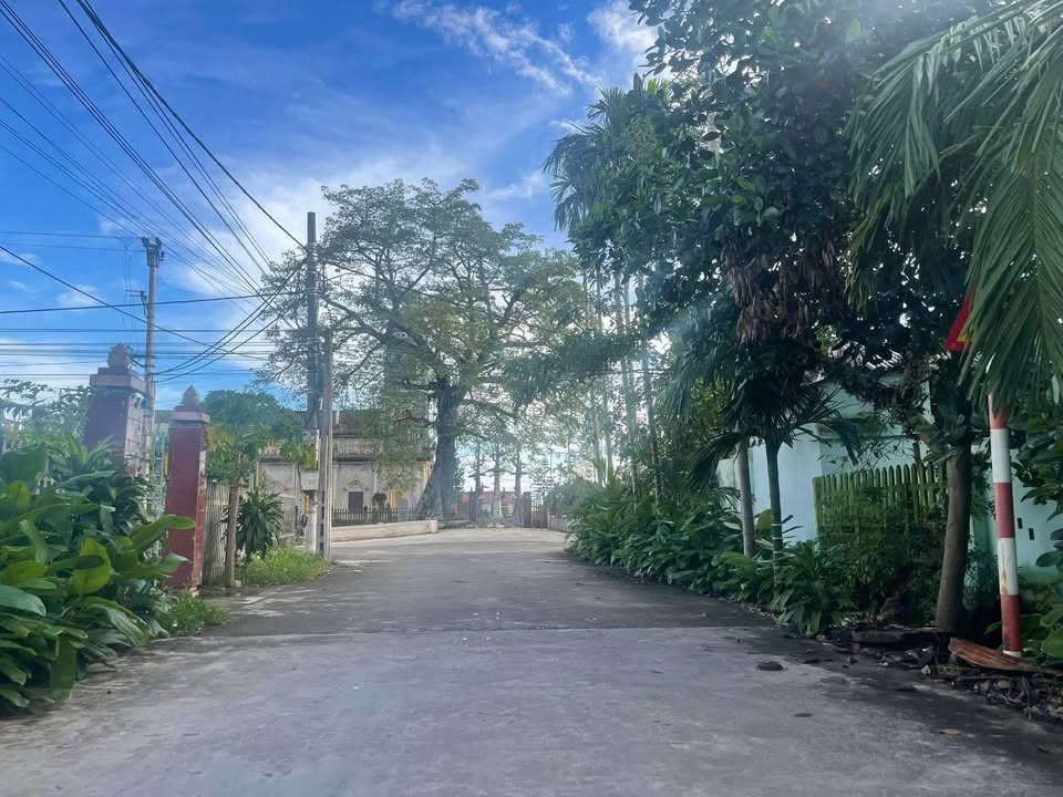 Đất Xóm 6 - Hải Ninh, 150m² giá 800 triệu - Đường rộng ô tô tránh nhau!