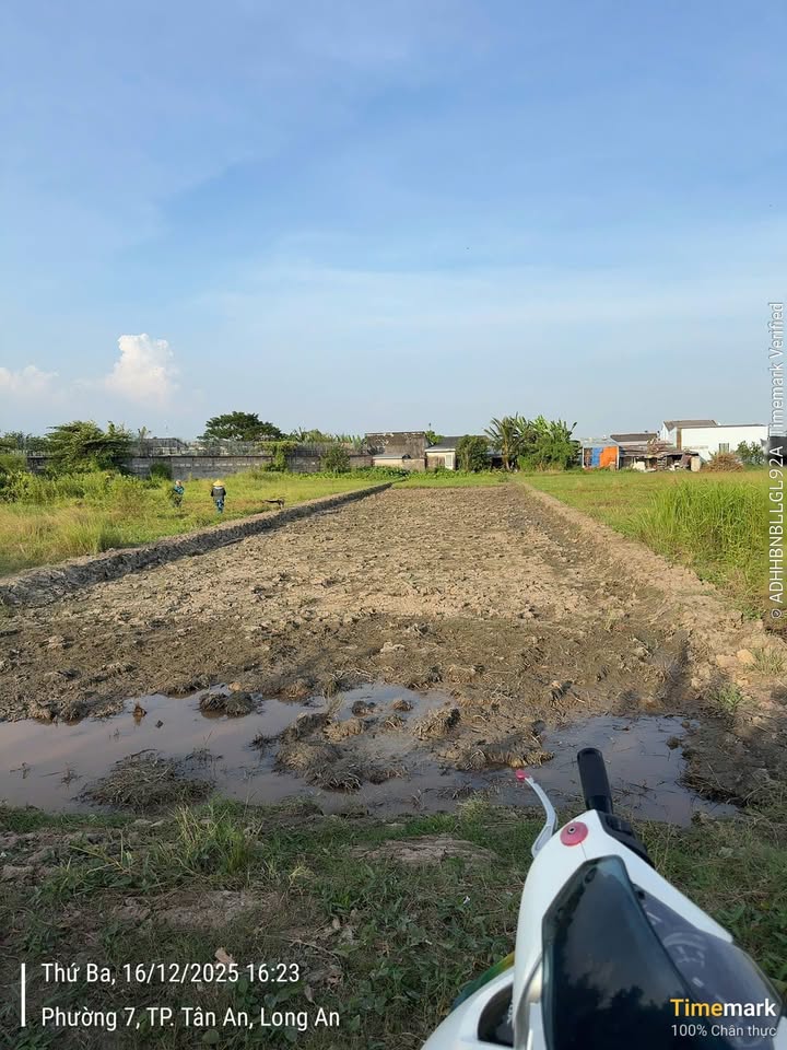 Đất nền 1000m² tại phường 7, Tân An - Giá chỉ 999 triệu, cơ hội đầu tư không thể bỏ qua!