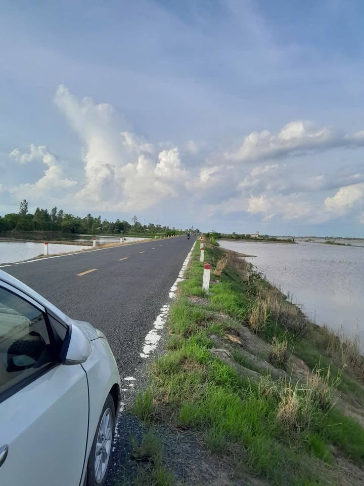 Đất nền mặt tiền đường DT856, xã Phương Thịnh, 700m² giá 595 triệu - Cơ hội đầu tư hấp dẫn!