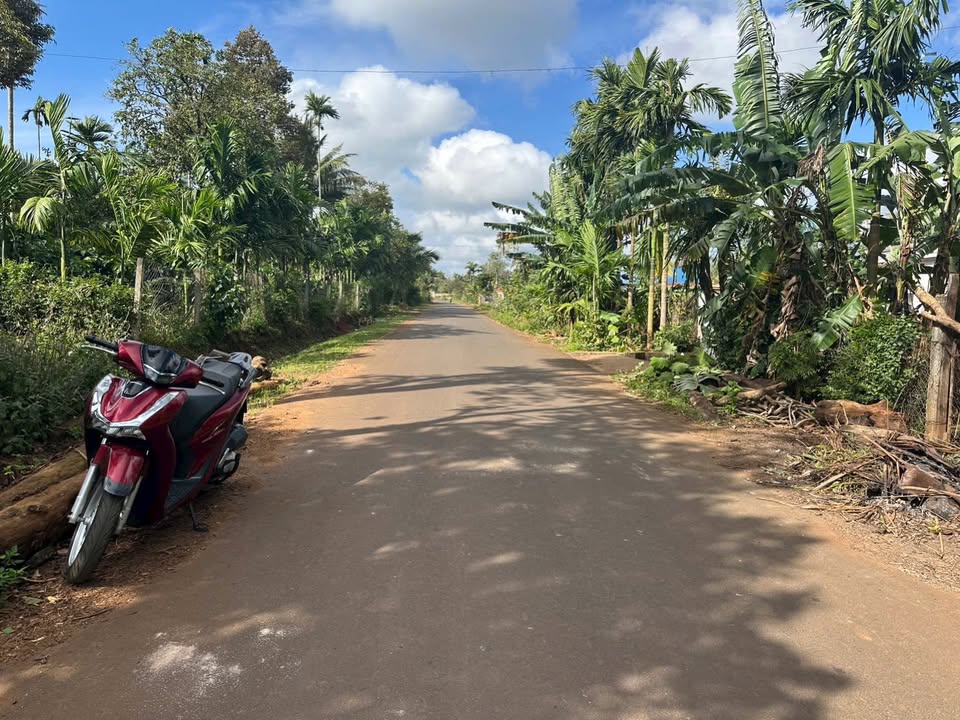 Đất nền Buôn Komleo, Tân Lập, BMT 1157m² giá 4 tỷ - Đầu tư sinh lời ngay!