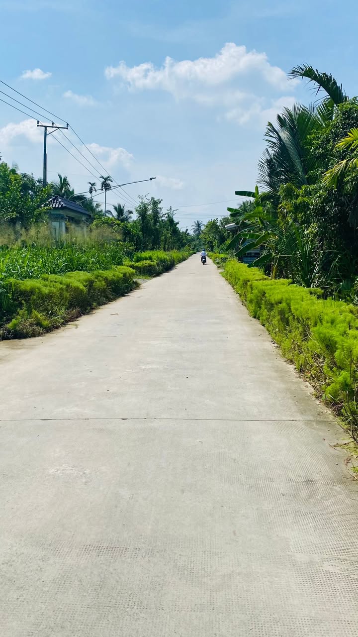 Đất mặt tiền Mỹ Thạnh, Giồng Trôm 1340m² giá 2,4 tỷ - Cơ hội đầu tư tuyệt vời!