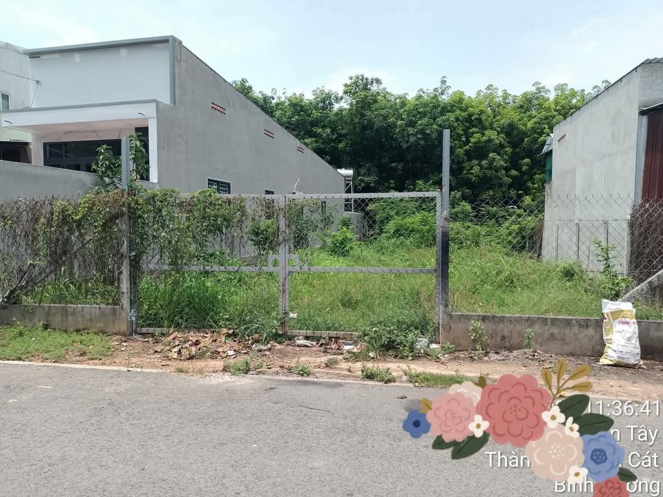 Đất nền An Tây, Bến Cát 1100m² - Đối diện chợ An Tây, Sổ hồng riêng!