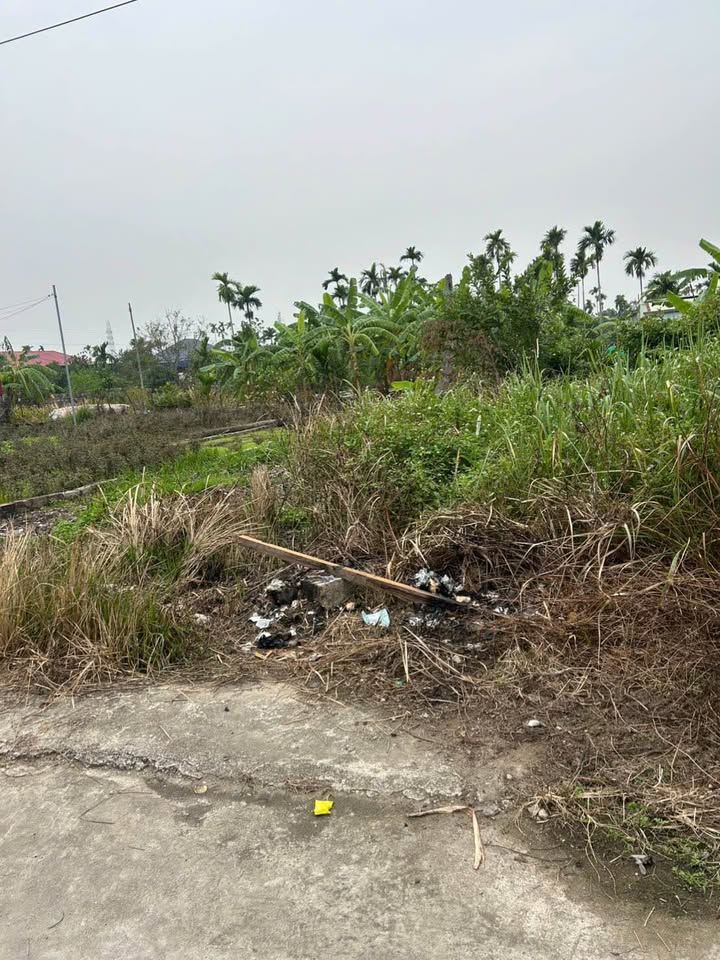 Đất nền Lâm Động Thủy Nguyên 55,6m² chỉ 1,4 tỷ - Cơ hội đầu tư tiềm năng!