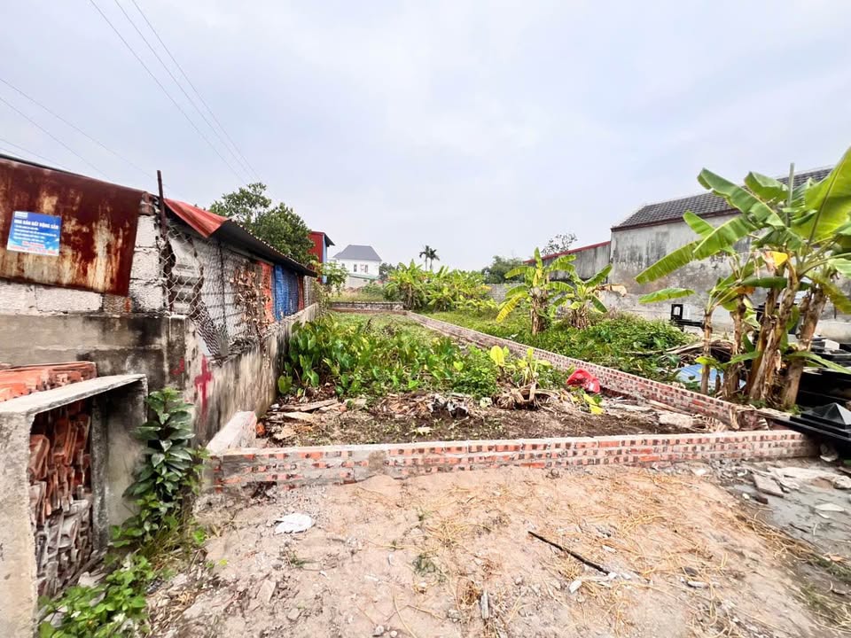 Mảnh đất 113m² tại Minh Tân, Kiến Thụy - Tiềm năng tăng giá mạnh!