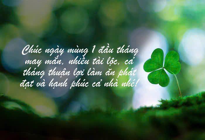 Shophouse Karaoke Vũng Tàu 360m² giá 62 tỷ - Cơ hội đầu tư sinh lời!