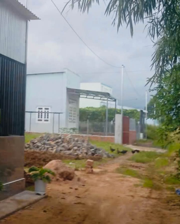 Bán lô đất thổ cư 125m² tại trung tâm Đất Đỏ, Bà Rịa - Vũng Tàu - Giá chỉ 480 triệu!