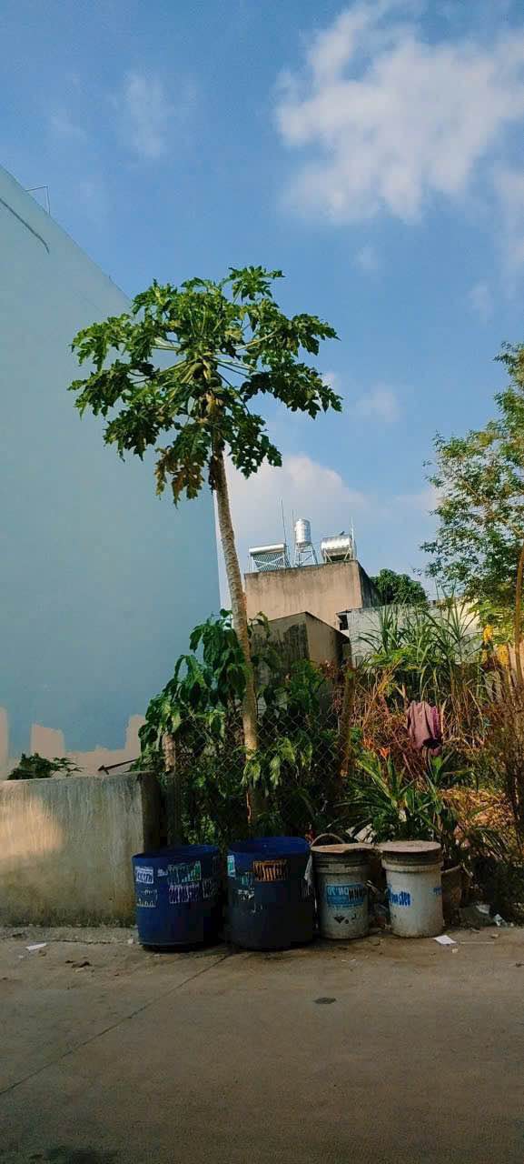 Đất thổ cư mặt tiền đường Trần Văn Mười, Hóc Môn 88m² giá 3.9 tỷ - Sổ hồng riêng, thương lượng!