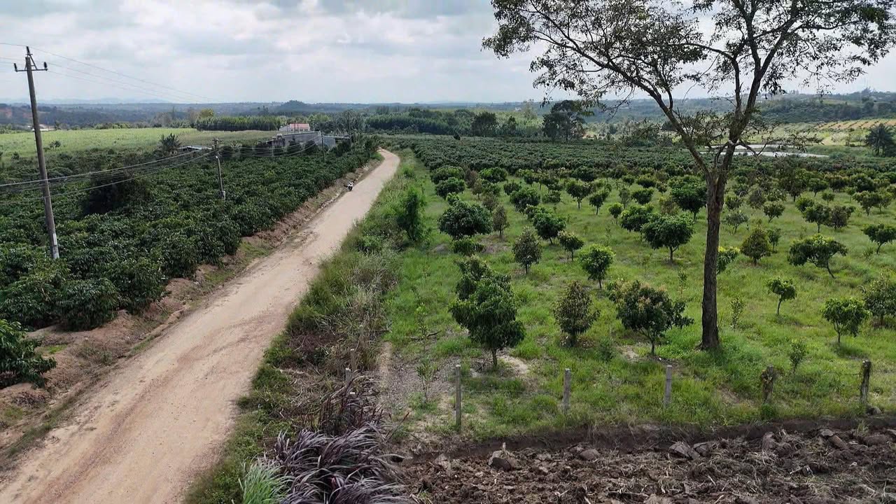 Đất nông nghiệp 1ha1 thôn 10, xã Ea Sar, Ea Kar - Giá 2,1 tỷ, thương lượng!