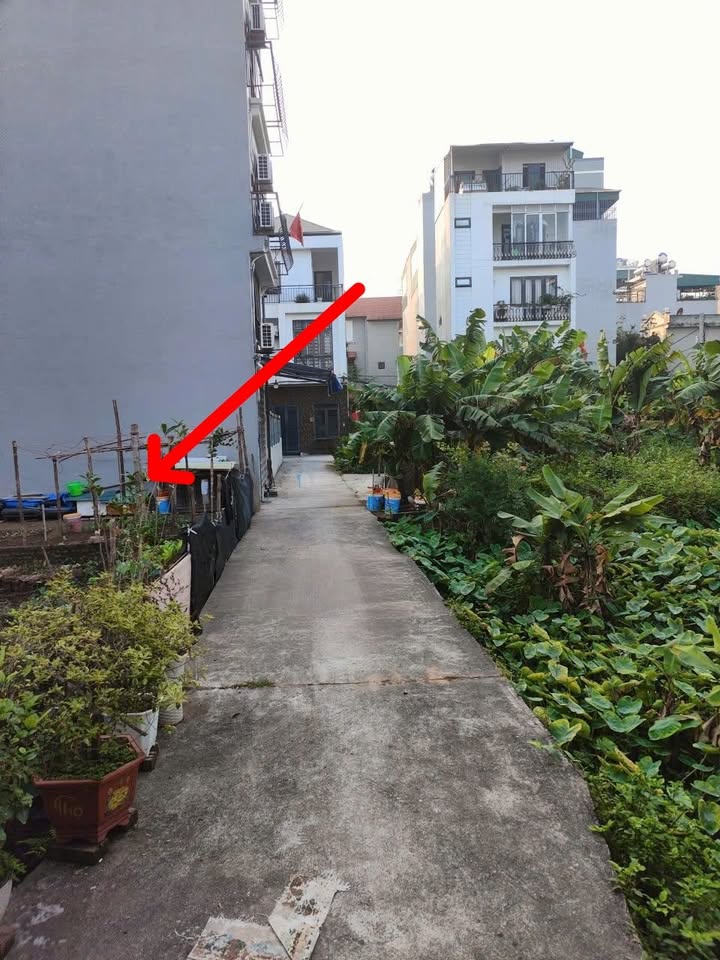 Đất Phúc Lợi Long Biên 45m² giá 5.6 tỷ - Vị trí đẹp, tiện ích đầy đủ!