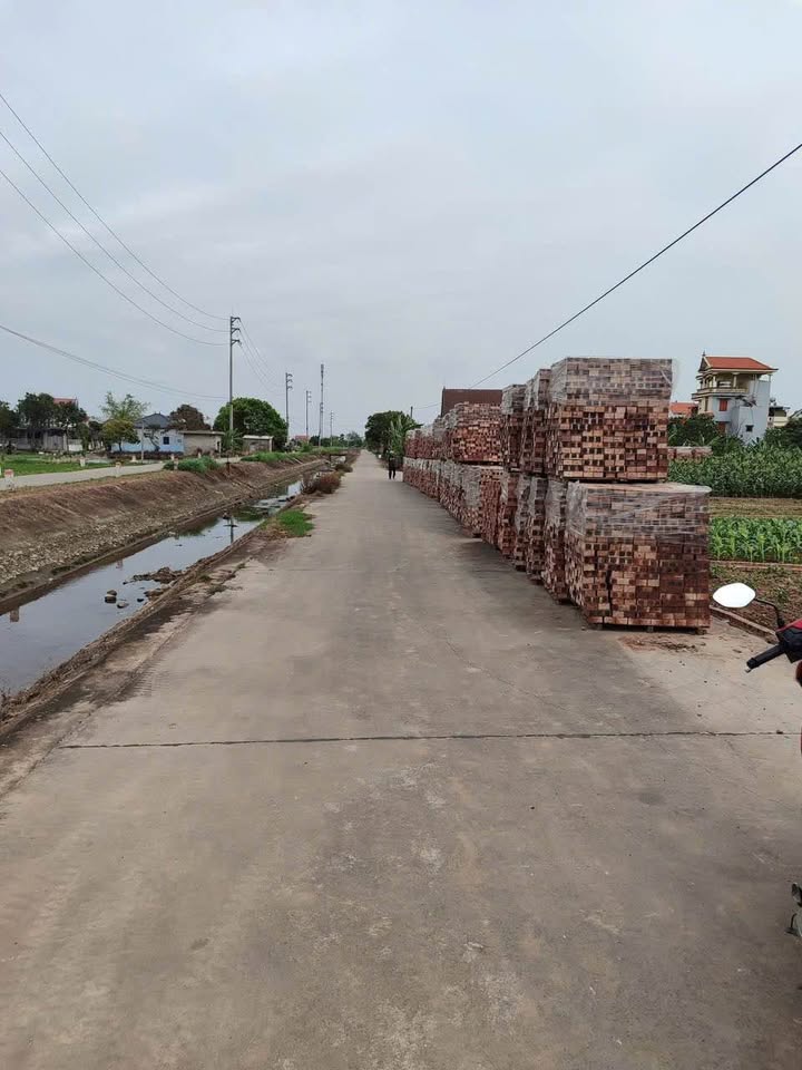 Đất nền dự án Lôi Châu An Thịnh Lương Tài Bắc Ninh 83m² giá chỉ từ 1.5 tỷ - Tiềm năng đầu tư lớn!