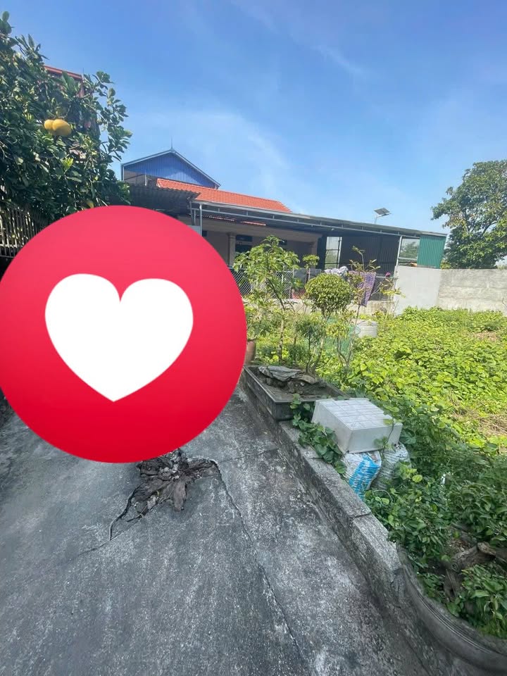 Đất nền Đại Áng - Thanh Trì, Hà Nội 46m² giá 3 tỷ - Cơ hội đầu tư hấp dẫn!