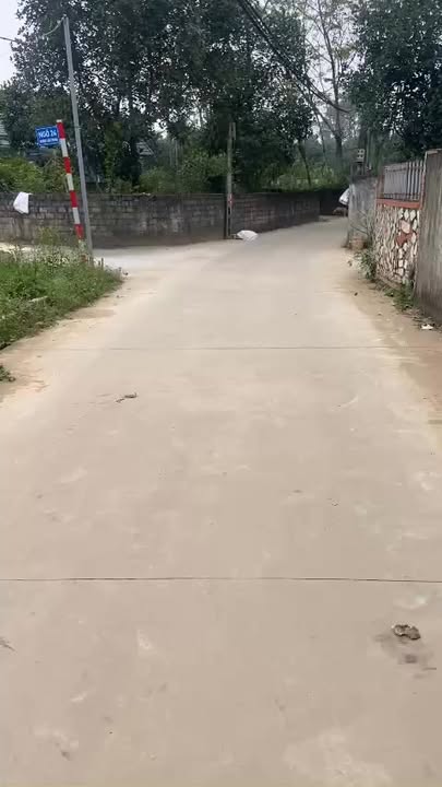 Đất nền 100m² Thôn Đại Trung, xã Cổ Đông - Giá tốt, pháp lý rõ ràng!