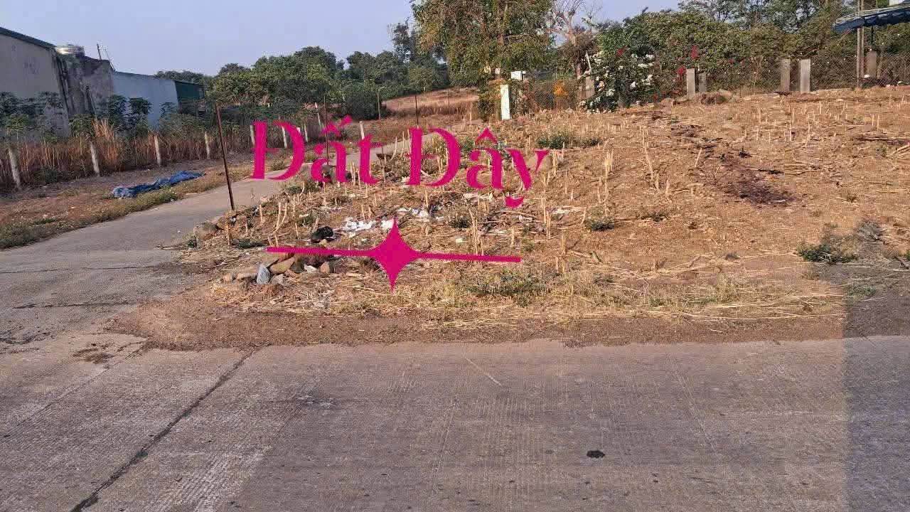 Đất nền mặt tiền đường Liên Thôn 8 Cư Êbur 152m² giá 1.25 tỷ - Đầu tư sinh lời ngay!