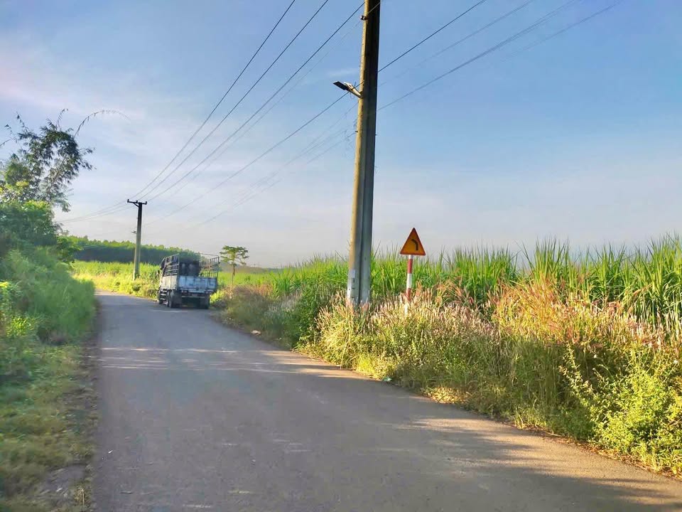 Đất nền 1049m² mặt tiền đường Ba Lá Xanh - Giá chỉ 1.28 tỷ VND!