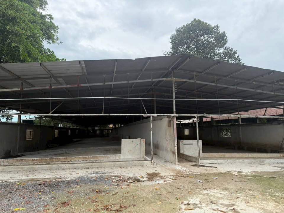 Farm cho thuê 5ha tại Thiện Tân, Vĩnh Cửu - Giá 80 triệu/tháng, sẵn sàng hoạt động!