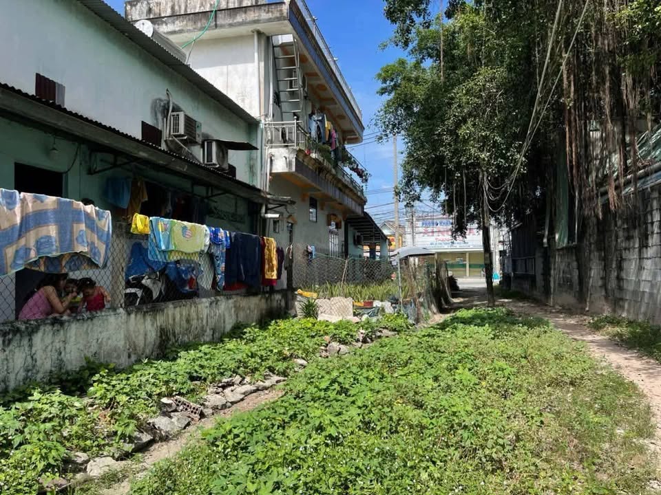 Đất thổ cư 150m² đường DT-768, Vĩnh Cửu - Giá chỉ 5.5 tỷ, cơ hội kinh doanh tuyệt vời!