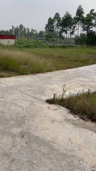 Đất nền Khám Lạng, Lục Nam, Bắc Giang 481m² - Mặt tiền rộng, giá thỏa thuận!