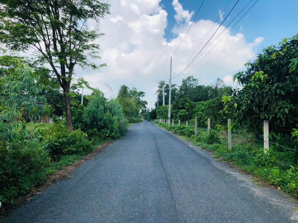 Đất nền mặt tiền HL13 xã An Cư 1158m² giá 600 triệu - Cơ hội đầu tư sinh lời!