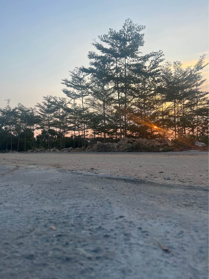 Lô đất biệt thự Thượng, Lương Tài, Bắc Ninh 300m² - Hướng Đông mát mẻ bên hồ điều hòa!