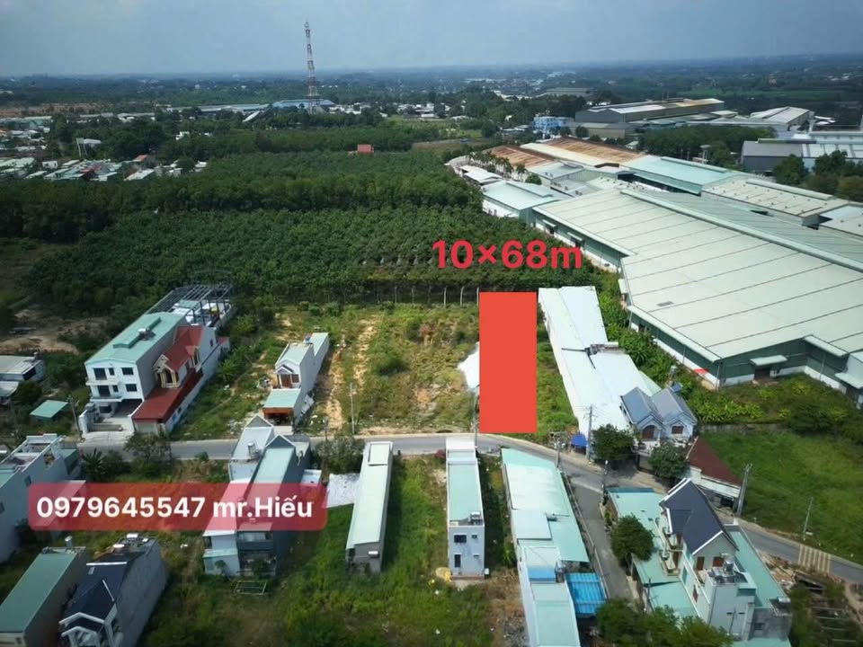 Đất mặt tiền kinh doanh Tân Định, Bến Cát 725m² chỉ 4 tỷ - Cơ hội đầu tư tuyệt vời!