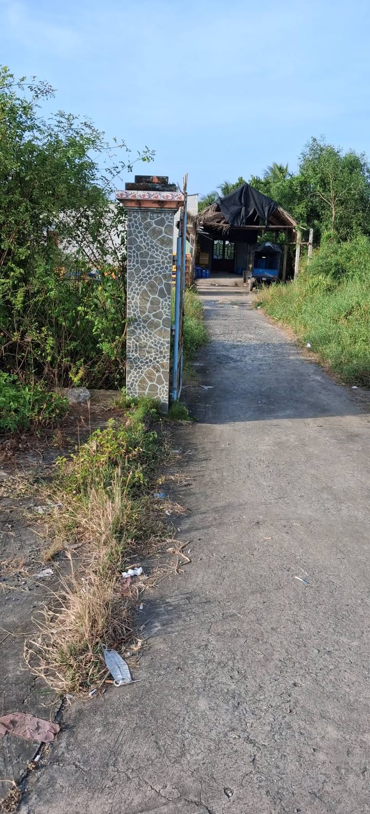 Đất mặt tiền Quốc lộ 50 Thạnh Trị 287m² giá 2.1 tỷ - Đầu tư sinh lời ngay!