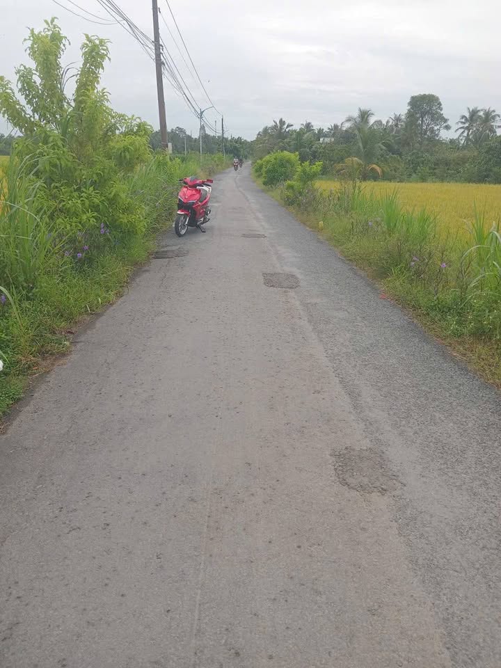 Đất nông nghiệp Thới An B, Gò Công Tây 4.600m² giá 1.15 tỷ - Sổ hồng chính chủ!