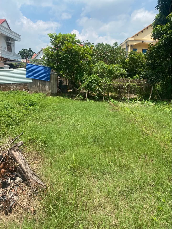 Lô đất đẹp Hiền Ninh, Sóc Sơn 55m² - Đầu tư sinh lời ngay!