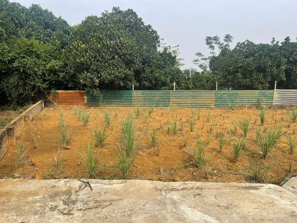 Đất nền Quốc Oai 135m² giá 2 tỷ - Tiện ích xung quanh đầy đủ!