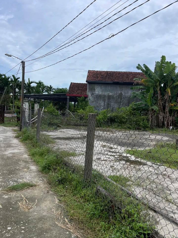 Đất nền giá rẻ tại thôn Trường Mỹ, xã Tam Thái, 200m² - Cơ hội đầu tư tuyệt vời!