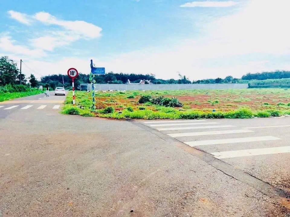 Đất Sào Góc 2 Mặt Tiền Đường 90 Long Phước - Cơ Hội Vàng Cho Biệt Thự Nhà Vườn!