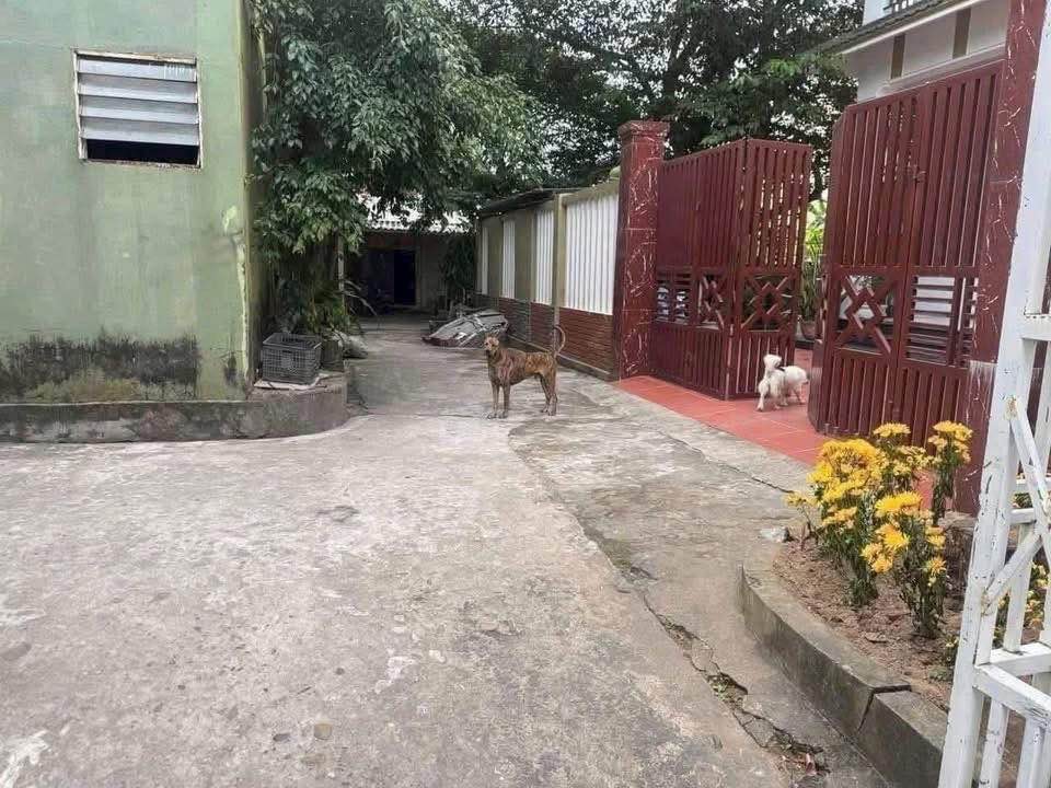 Đất nền chính chủ đường Hàm Nghi, Đông Hà 133m² giá 795 triệu - Vị trí đẹp, giao thông thuận tiện!