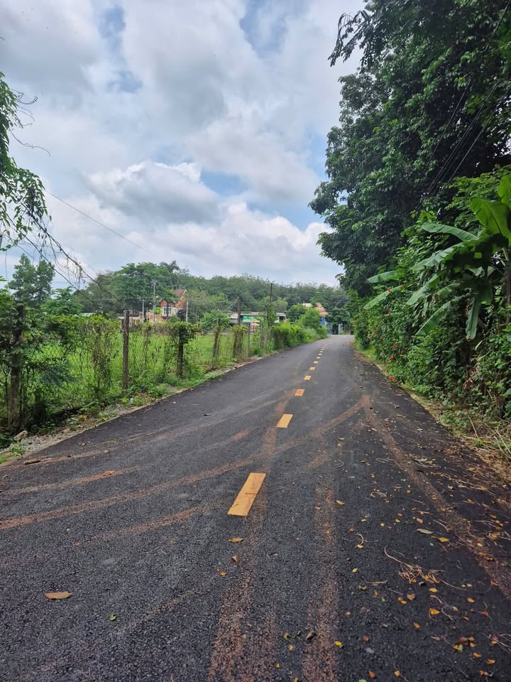 Đất nền Tân Hiệp, Phú Giáo 150m² giá chỉ 560 triệu - Đối diện UBND xã!