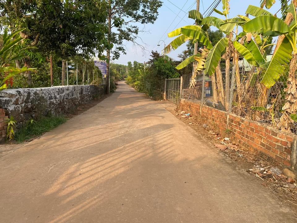 Nhà vườn 2.663m² tại Vĩnh An, Vĩnh Cửu, Đồng Nai - Sổ đỏ chính chủ