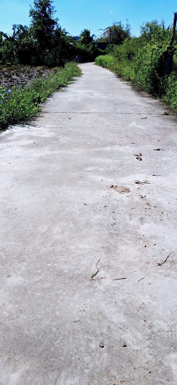 Đất nền 3200m² mặt tiền Ngô Đức Tốn – Thôn 3, Hàm Liêm giá chỉ 3.2 tỷ