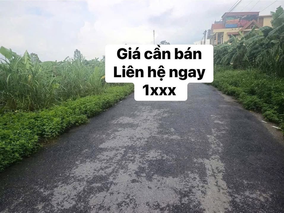 Đất giãn dân Đức Xương - Gia Lộc 100m² giá thỏa thuận - Cơ hội đầu tư tuyệt vời!
