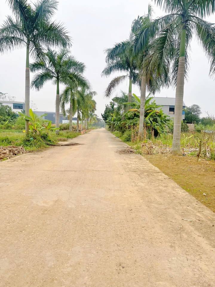 Đất nền Tiên Kiên Lâm Thao 174m² giá 1.6 tỷ - Đầu tư sinh lời ngay!