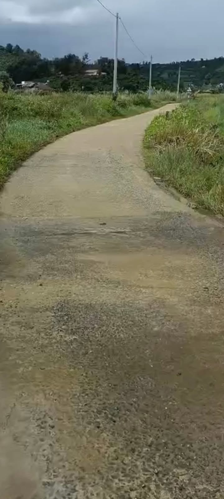 Đất Ruộng Tân Văn 2000m² giá 1.62 tỷ - Đầu tư sinh lời ngay!