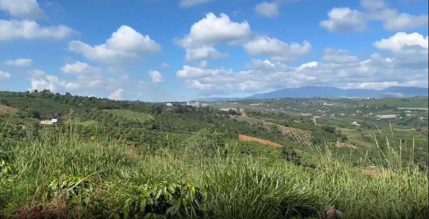 Bán đất Tân Văn, Lâm Hà, Lâm Đồng 1500m² giá 7.5 tỷ - Đầu tư tiềm năng!