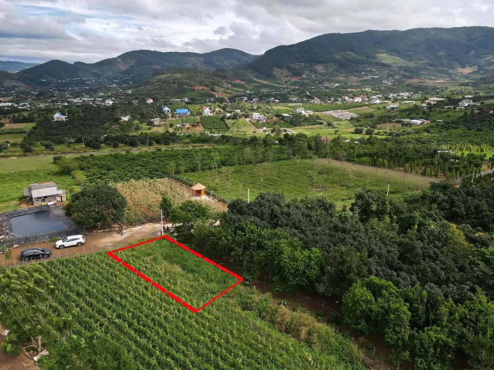 Đất thổ cư 217m² Đông Thanh - Lâm Hà chỉ 859 triệu - Cơ hội vàng cho nhà đầu tư!