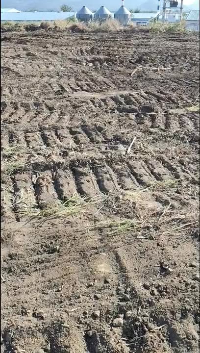 Đất Farm 2.4ha tại xã Ia Hla, Chư Pưh, Gia Lai - Giá chỉ 900 triệu