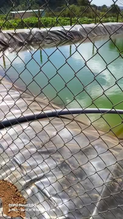 Lô đất Farm 2,2ha tại xã Ia Pếch, Gia Lai giá 3,3 tỷ - Đầu tư sinh lời ngay!