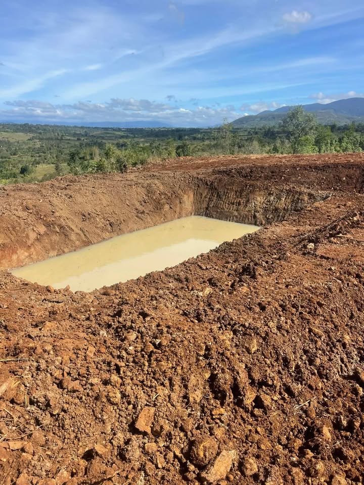 Đất nền 2,5ha Lơ Pang, Mang Yang, Gia Lai - Giá chỉ 2,5 tỷ, cơ hội đầu tư hấp dẫn!